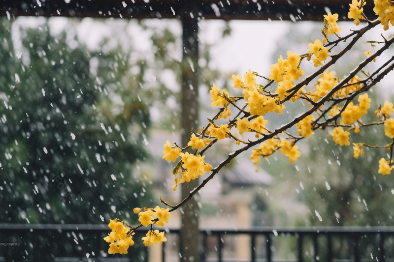 中式古典园林中的雪景摄影实拍,高清,摄影图,摄影图片,图片大全,摄影图免费下载
